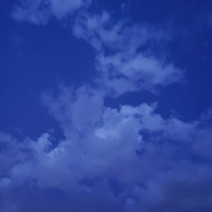 Meet your Posher, Brigette